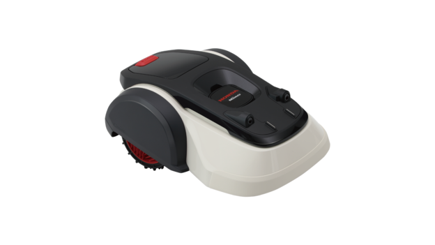 Miimo, de trois quarts face.